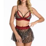 Wild Leopard Printed Mesh Hollowed-out Bra&panty Dress Set - Image 6