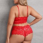 Plus Size Lace Bra And Panty For Ladies - Image 3