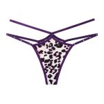 Women's Fashion Leopard Hot Panty Sexy Lingeries - Image 2