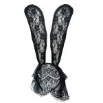 Lovely Floral Lace Bunny Ears Headwear With Veil - Image 2