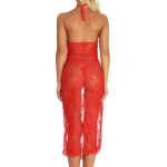 Alluring Red Halter See-through Lace Long Dress - Image 4