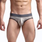 Made For Gay Men Hot Back Hollow Out Briefs - Image 2