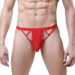 Sexy Hollow Out Assless Men T-string - Image 6