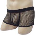 Hot Style Transparent Fishnet Boxer Shorts For Men - Image 9