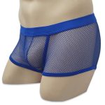 Hot Style Transparent Fishnet Boxer Shorts For Men - Image 5