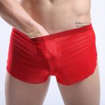 New Arrival See-through Comfortable Mesh Boxers - Image 6