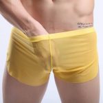 New Arrival See-through Comfortable Mesh Boxers - Image 2