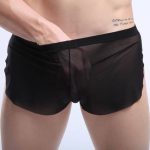 New Arrival See-through Comfortable Mesh Boxers - Image 3