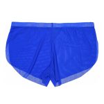 Vivid Comfortable Breathable Seamless Boxer Brief - Image 5