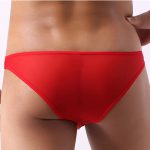 Front Hollowed-out Ice Silk Hot Men Panty - Image 3