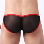 New Arrival Low-rice Stretchy Mesh Panty - Image 2