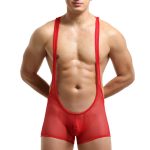 Hot Selling Pure Mesh Boxers Bodysuit - Image 3