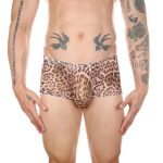 Men Sexy Transparent Leopard Mesh Boxers Briefs - Image 6