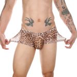 Men Sexy Transparent Leopard Mesh Boxers Briefs - Image 7