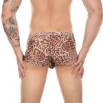 Men Sexy Transparent Leopard Mesh Boxers Briefs - Image 2