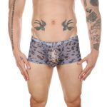 Men Sexy Transparent Leopard Mesh Boxers Briefs - Image 3