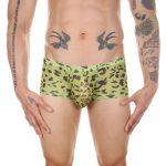Men Sexy Transparent Leopard Mesh Boxers Briefs - Image 4
