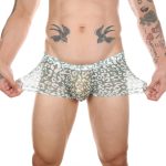 Men Sexy Transparent Leopard Mesh Boxers Briefs - Image 5