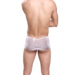 Ultrathin Transparent Lace T-back Underwear For Men - Image 5