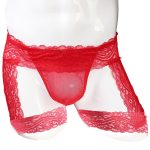 Men Lace Boxers Briefs Sexy Lingeries - Image 7