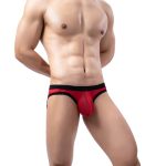 Characteristic Men See-through Briefs Panty