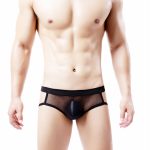 Multi-colored Hollowed-out Mesh Assless Panty For Men