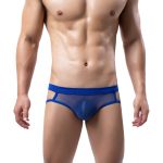 Multi-colored Hollowed-out Mesh Assless Panty For Men - Image 4
