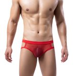 Multi-colored Hollowed-out Mesh Assless Panty For Men - Image 5