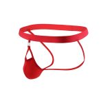 Men Front Removable Assless Underwear Sexy Panty - Image 4