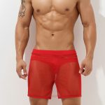 Fashion Men Hot Breathable Mesh Boxers Underwears