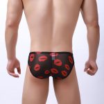 Men Mesh Lip Pattern Transparent Panty Briefs - Image 4
