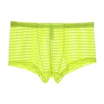 Fashion Men Transparent Striped Boxers