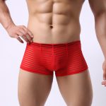 Men's Hot Stripe See-through Boxers - Image 6
