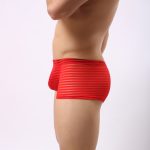 Men's Hot Stripe See-through Boxers - Image 7