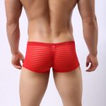 Men's Hot Stripe See-through Boxers - Image 9