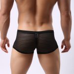 Men's Hot Stripe See-through Boxers - Image 11