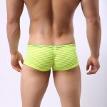Men's Hot Stripe See-through Boxers - Image 4