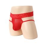 New Passion Lace Hollowed-out Sexy Panty - Image 5