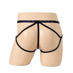 Sexy Men Elastic Band With Ring Panty Underwear