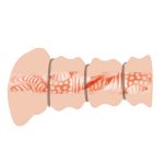 Pocket Vagina With 3 Cock Rings - Image 3