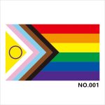 D701 Rainbow Pride Flag - Image 7