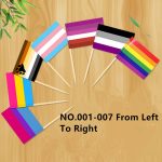 D704 Pride Toothpick Flag-100pcs - Image 6