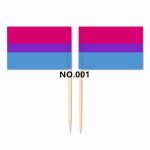 D704 Pride Toothpick Flag-100pcs - Image 7
