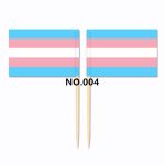 D704 Pride Toothpick Flag-100pcs - Image 3