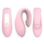 Winter Dolphin We Vibe