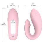 Winter Dolphin We Vibe - Image 2