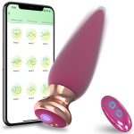 Remote Control Vibrating Anal Plug - Image 6