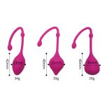 Vaginal Ben Wa Balls Tight Exercise Kit - Image 3