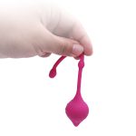 Vaginal Ben Wa Balls Tight Exercise Kit - Image 4