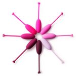 Beginners & Advanced 8 IN 1 Ben Wa Sets - Image 6